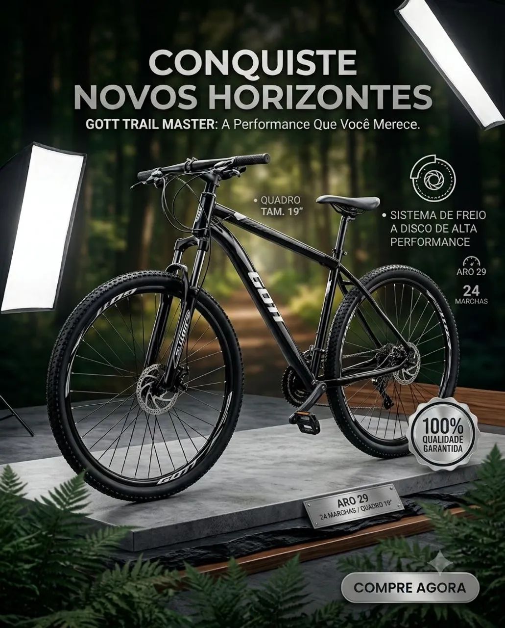 Bike Aro 29