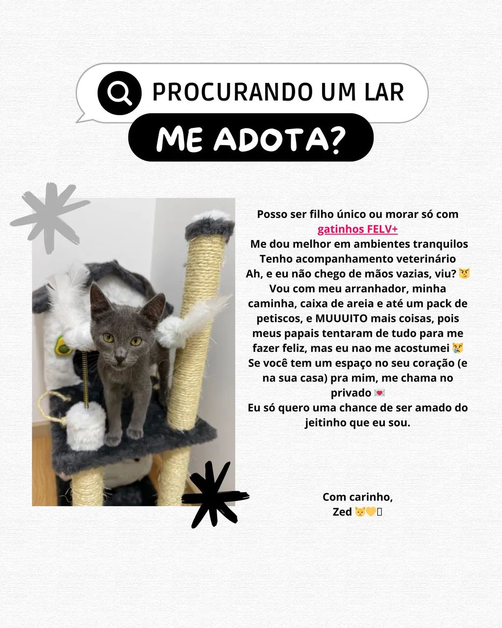 DOAÇÃO de RUSSIAN BLUE  FEVL+