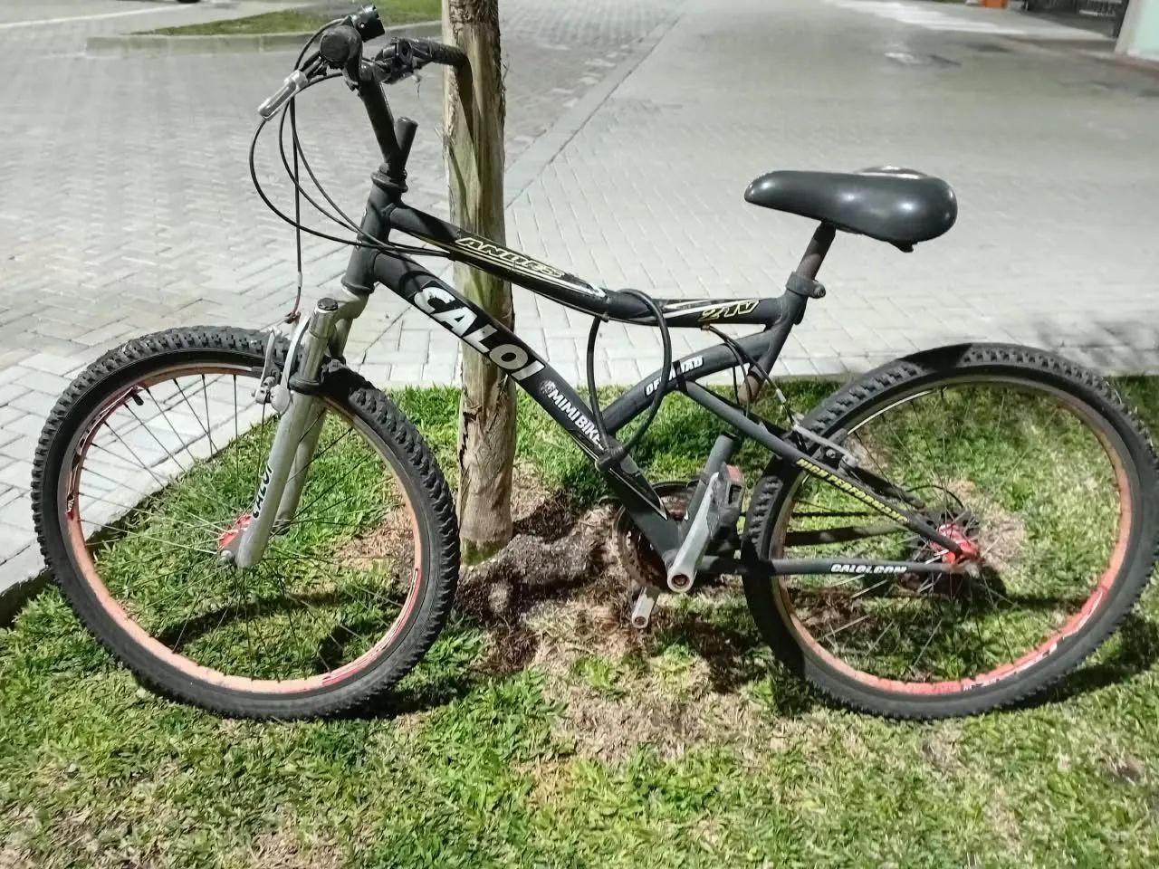 Bicicleta  - Foto 2