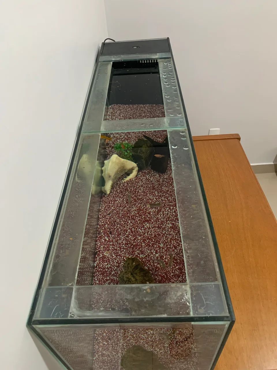 Aquário 236 Litros Funcionando - Foto 5