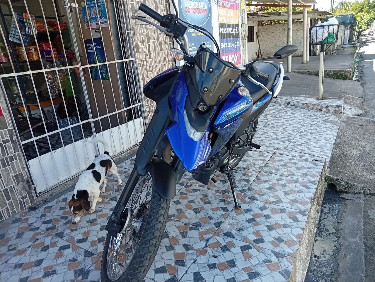 XTZ LANDER 250 