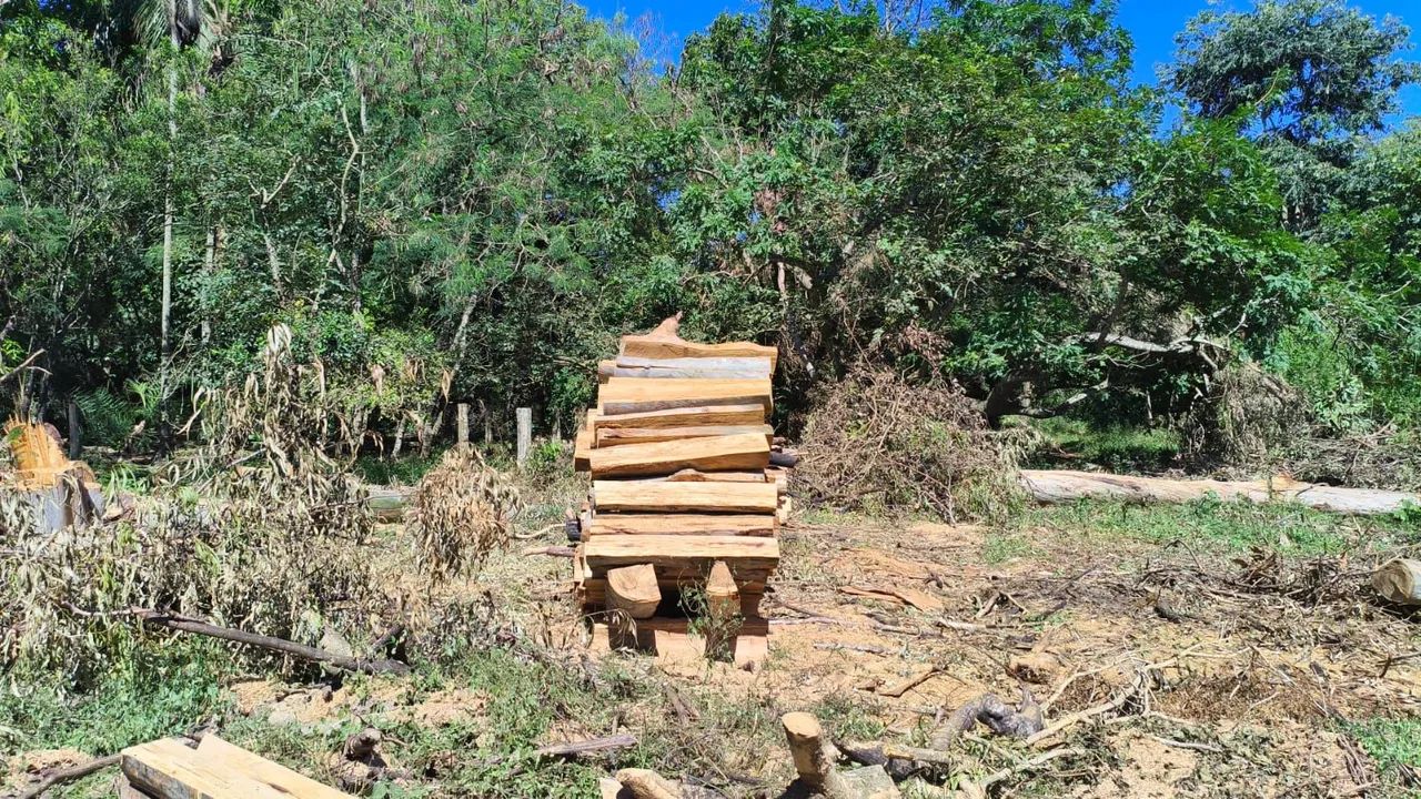 Serviço de Cerca/Curral e Serragem de madeiras em Geral  - Foto 2