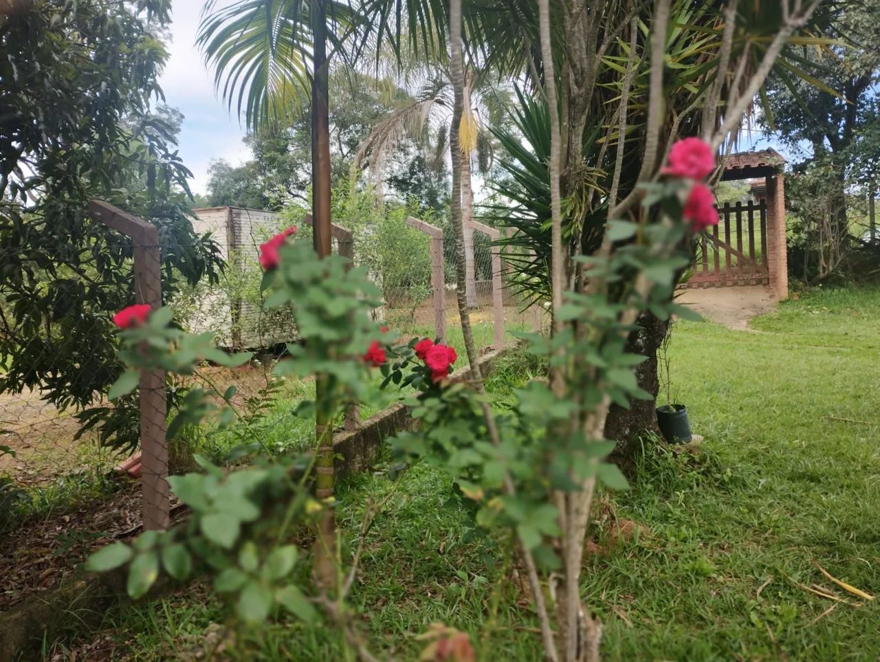 Chácara à Venda em Tuiuti - 2.000m² com Piscina - Foto 5