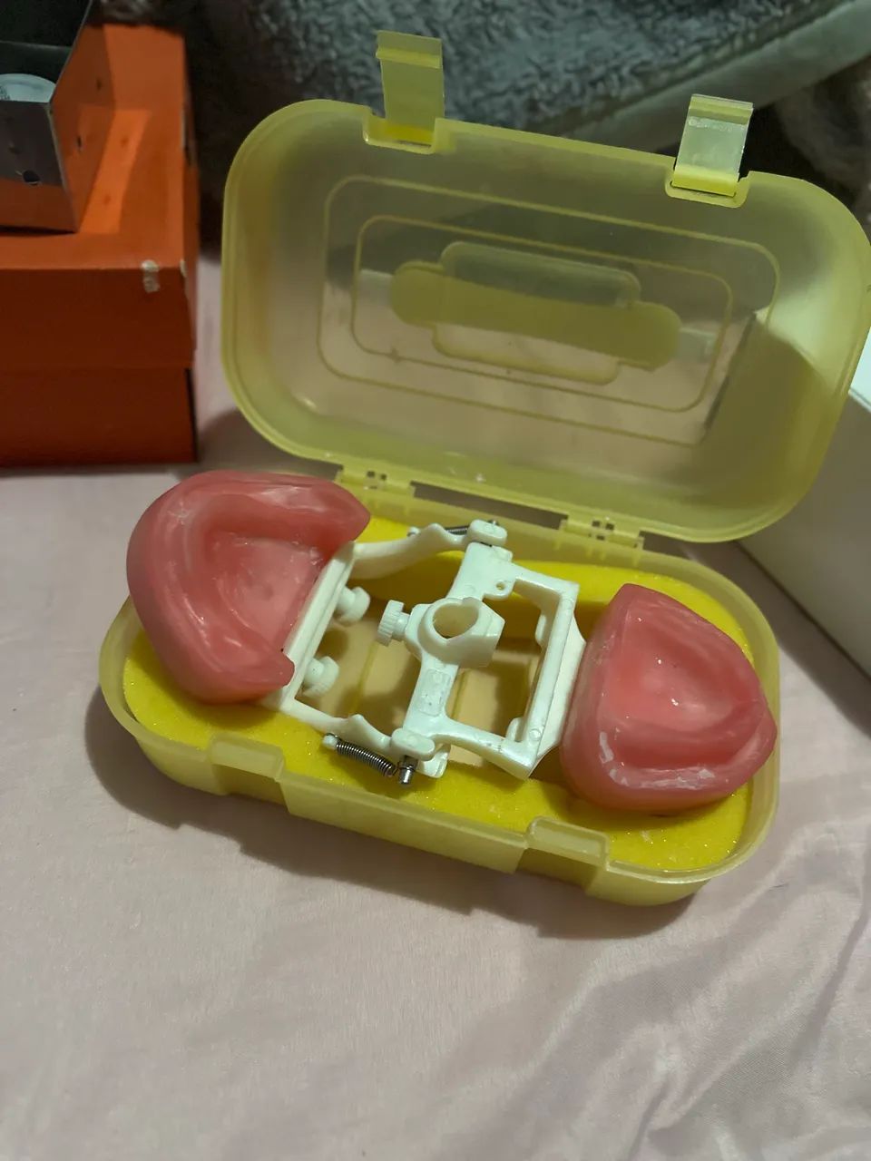 Manequim Dentística  - Foto 3