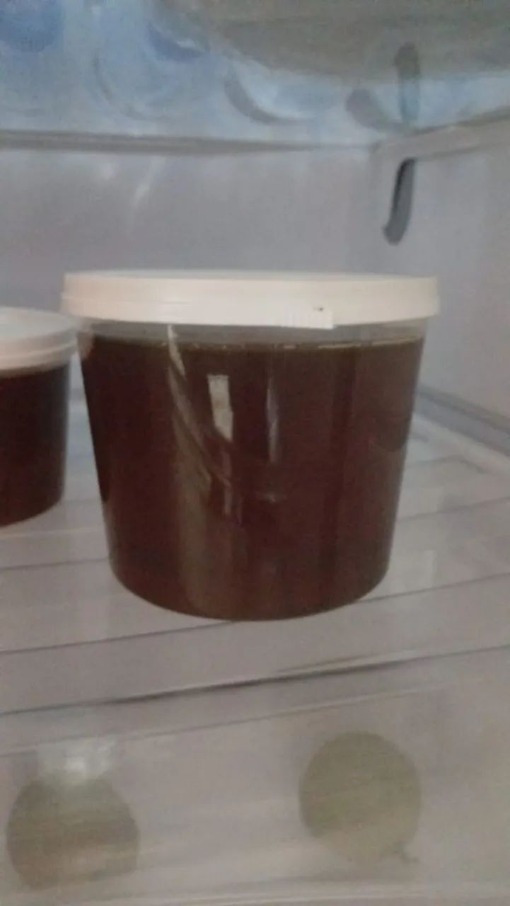 Mel Puro Silvestre de São Joaquim