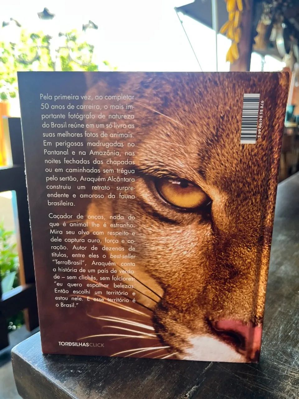 Bicho Brasil  - Foto 2