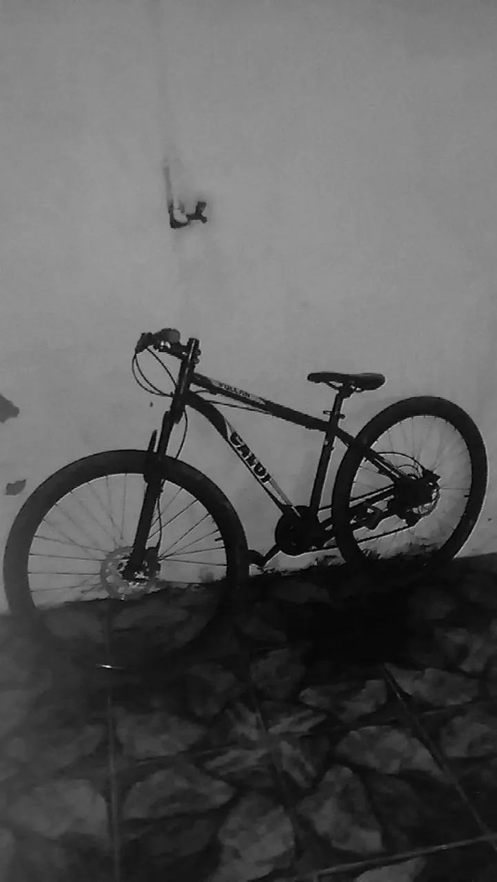 Caloi Aro 29 