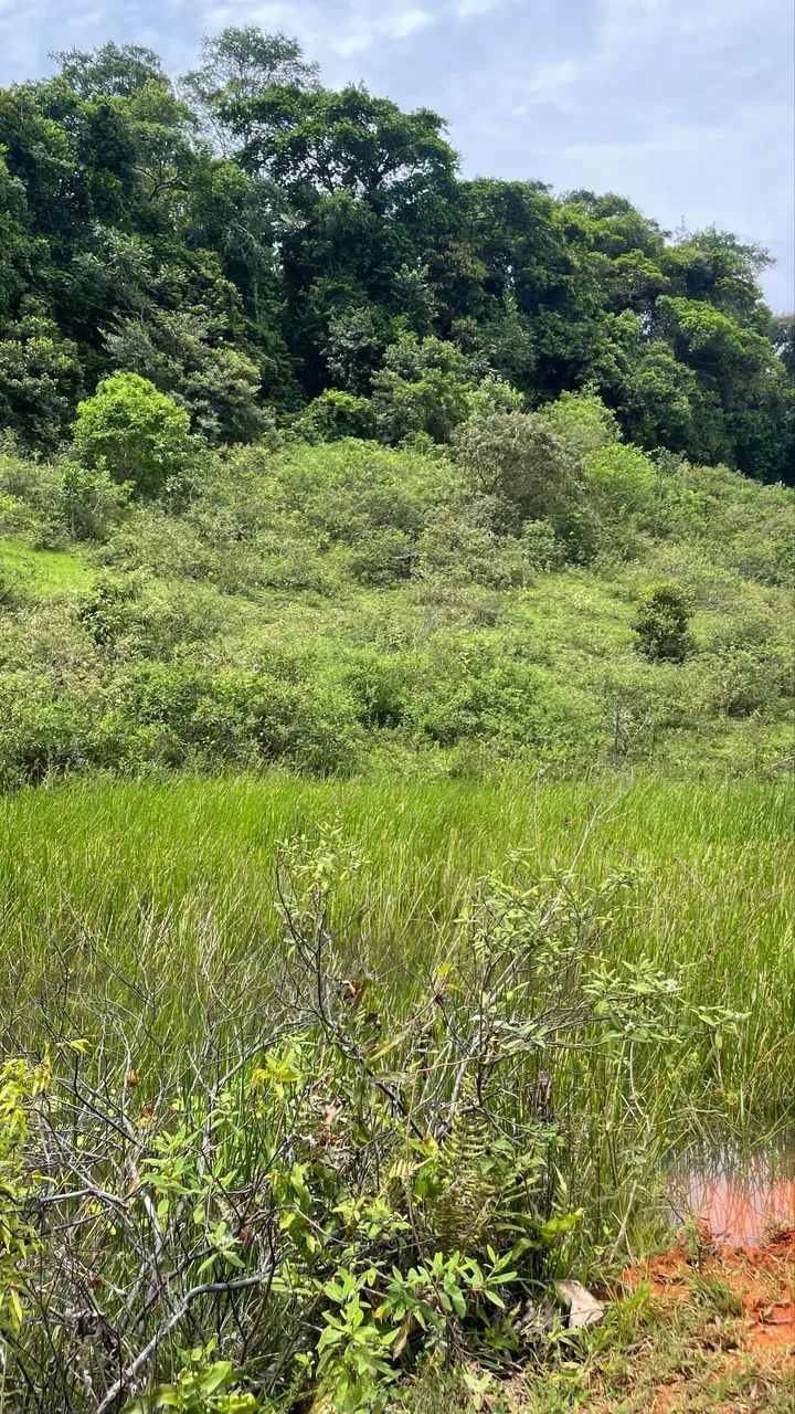 Lote com em Nova Guarapari  - Foto 3