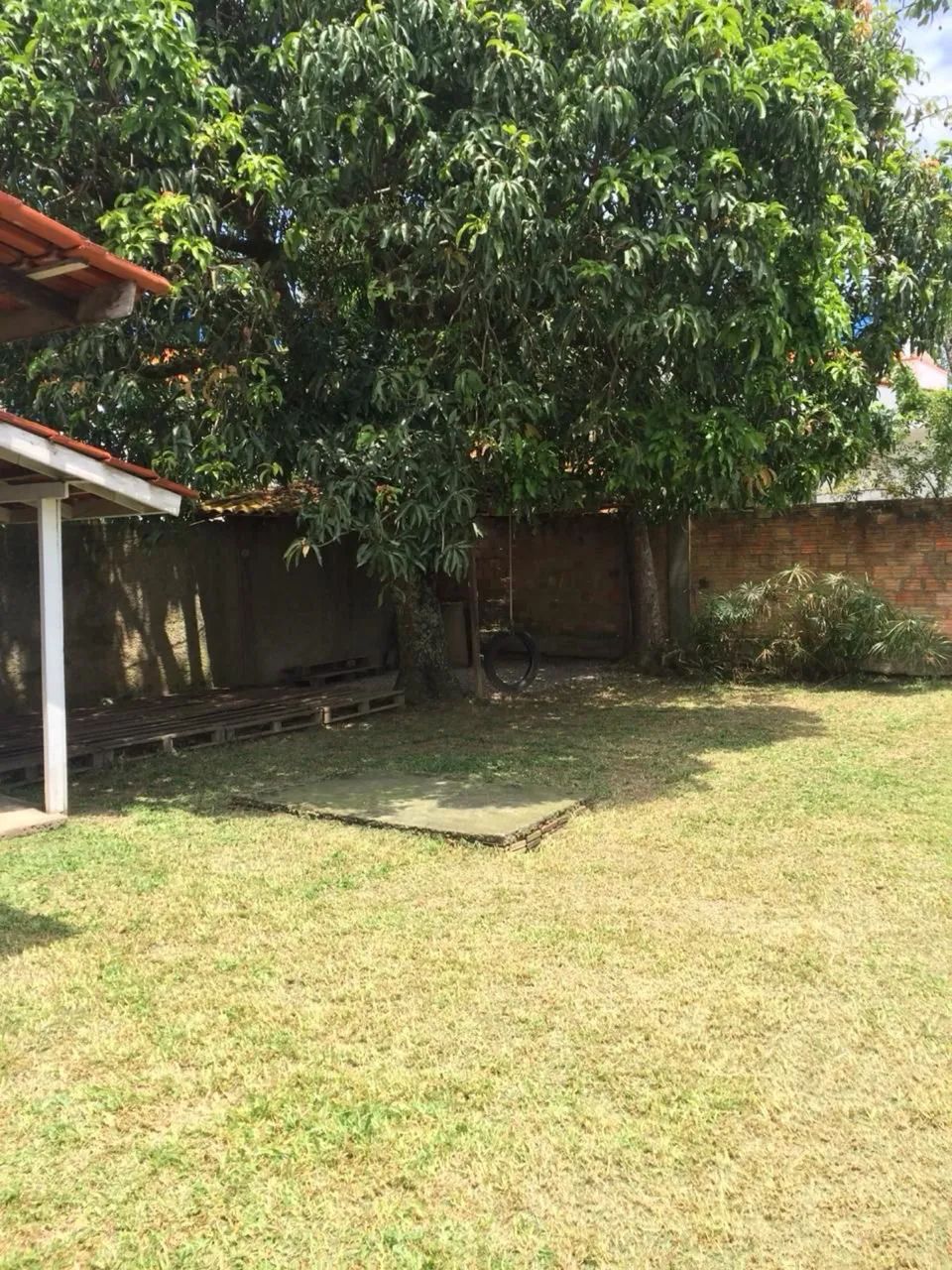 Roçagem de quintal, limpeza em terrenos podagem de árvore - Foto 4