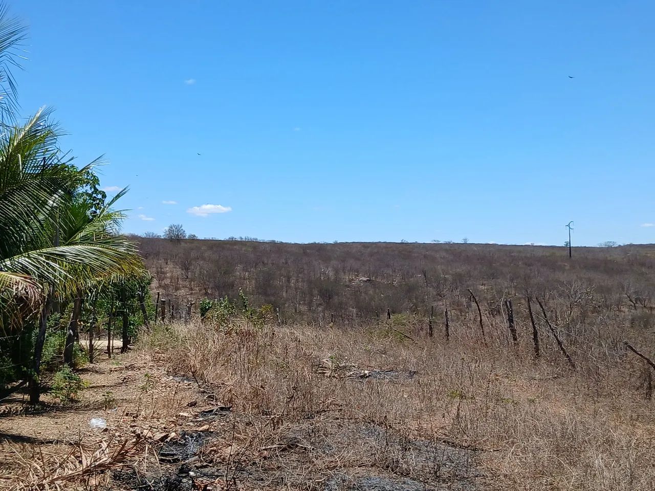 Terreno  - Foto 4