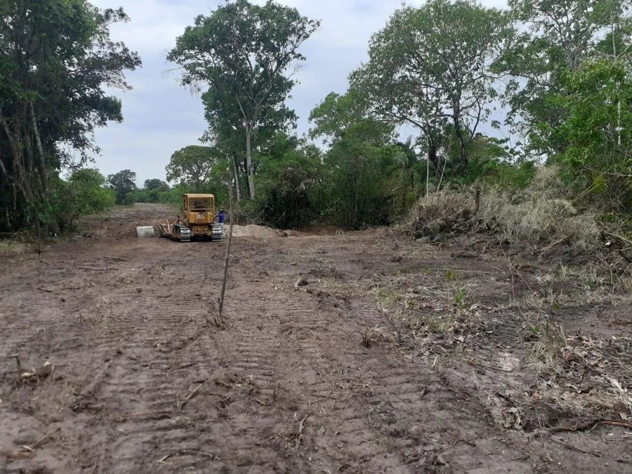 Oportunidade 302 Alqueires divide com lavoura região nobre  - Foto 2