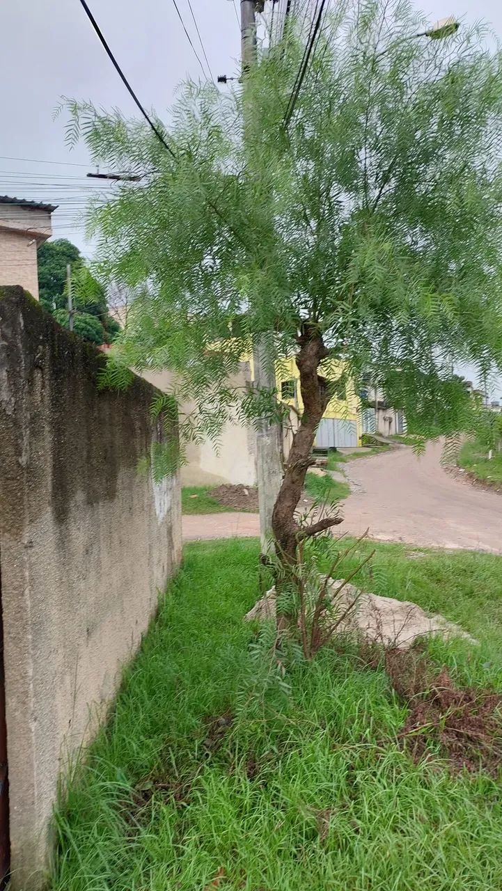 Foto - Itaboraí - Jardim Imperial