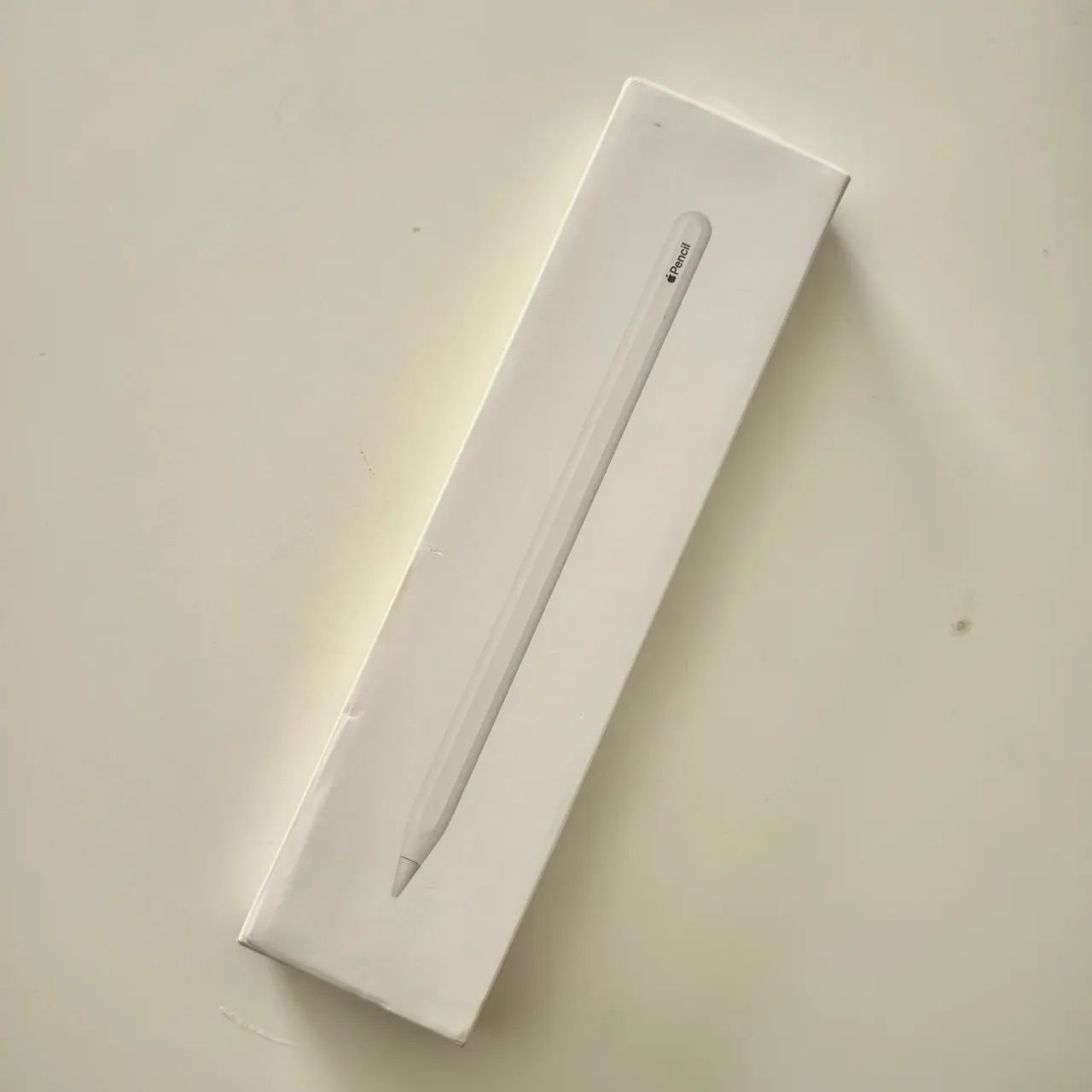 Apple Pencil 2ª geração 