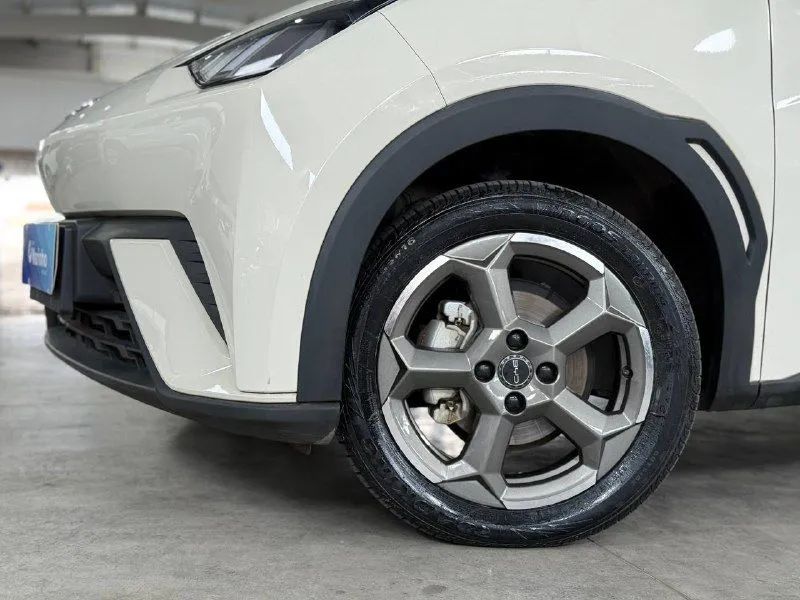 BYD Dolphin Mini (Elétrico) 2025 - Foto 4