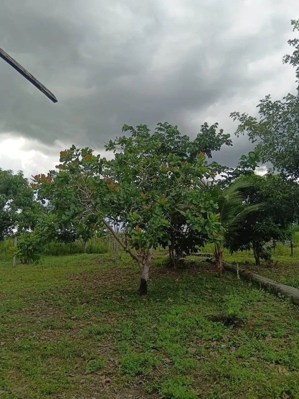 Venda - Foto 3