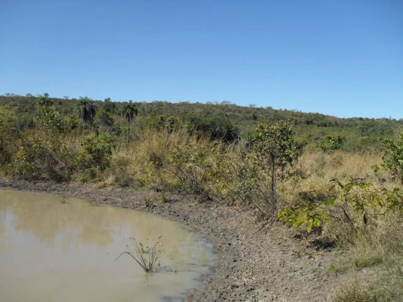 Vendo fazenda  - Foto 5