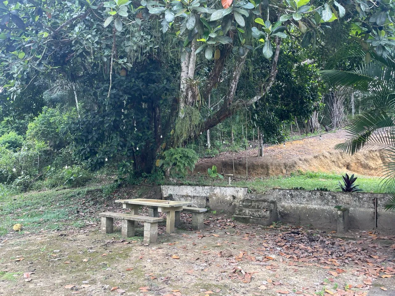 Sítio em Aldeia - 3 escrituras- Excelente investimento - Foto 4
