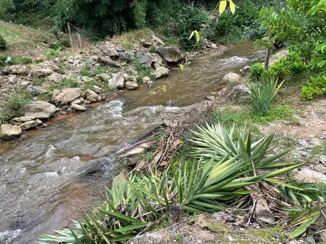 Vende-se Sítio 66.000m2 em Castelinho - Foto 4