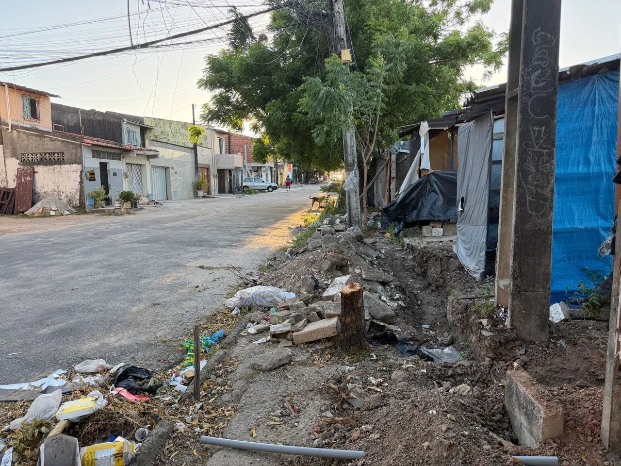 TERRENO PLANO - Foto 3