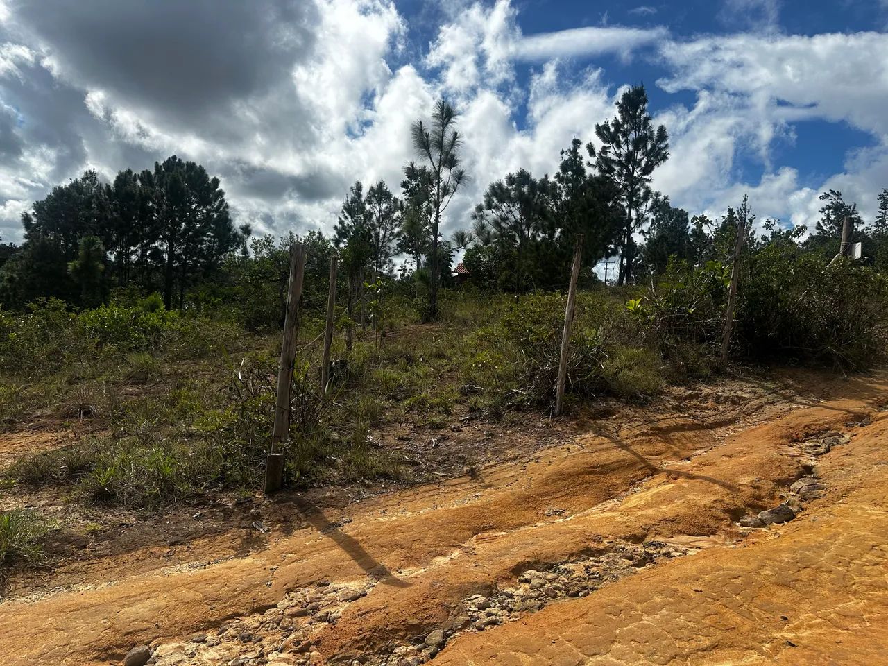 Terreno em Curralinho - Foto 5