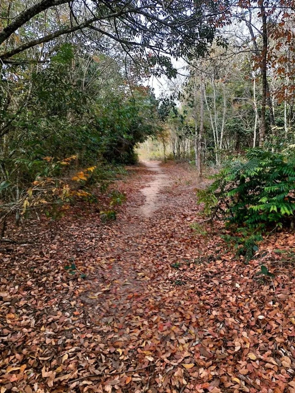Vendo Terreno para Rancho em condominio - Foto 4