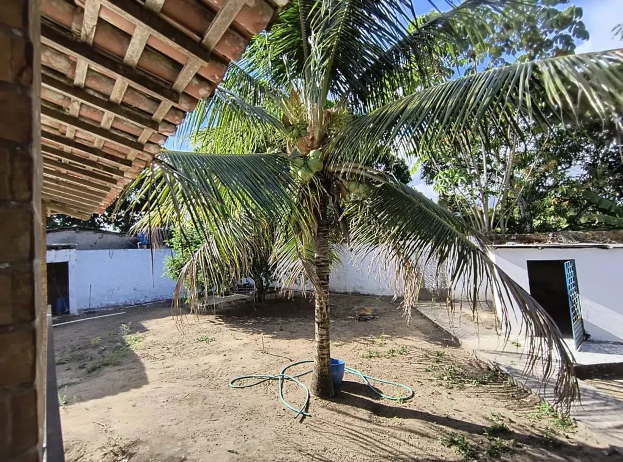 Oportunidade chácara Lindóia apenas 550 mil - Foto 2