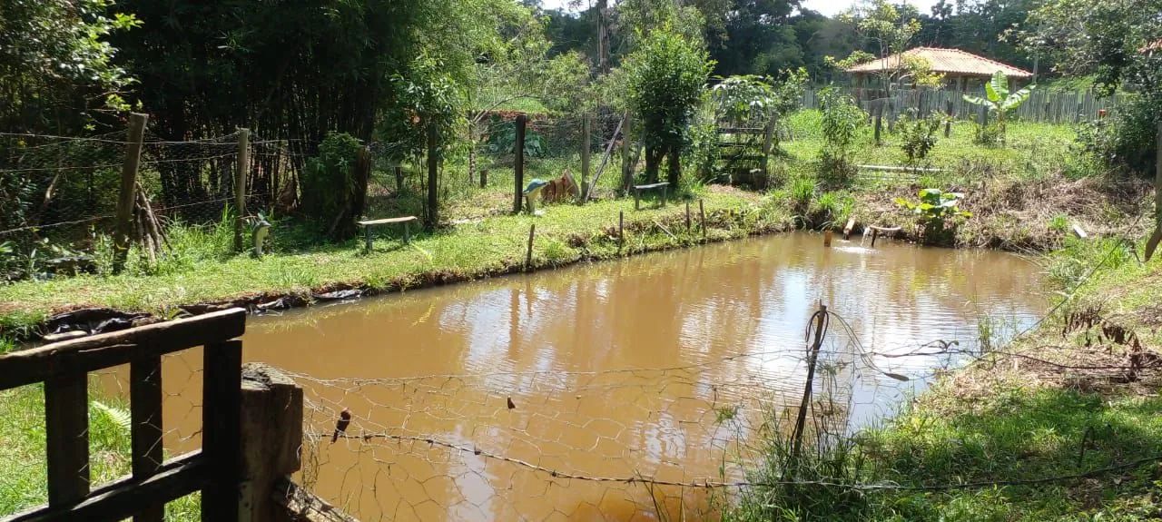 CHÁCARA 5.280M2 PARAISÓPOLIS SUL DE MINAS  - Foto 5