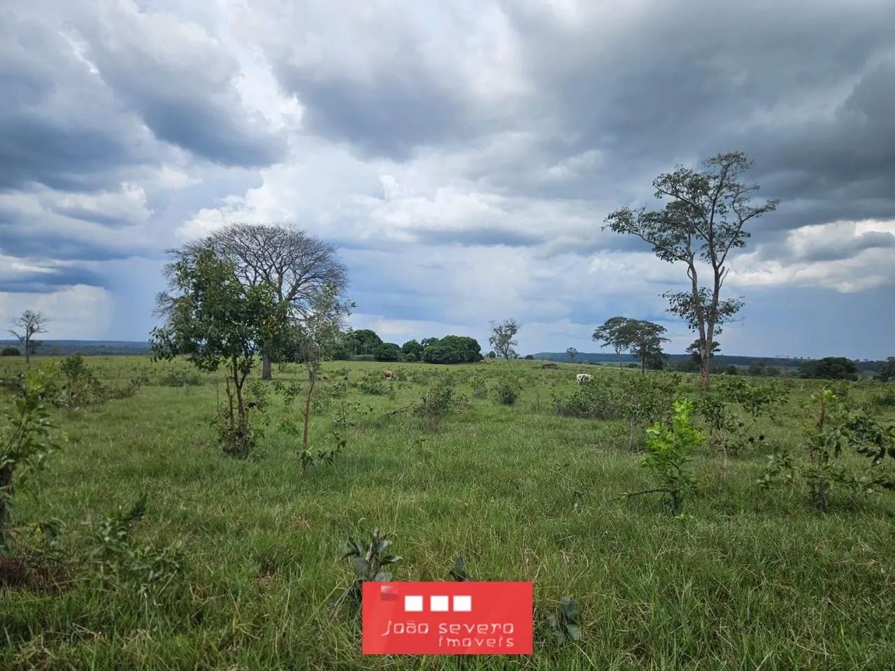 Fazenda para Venda em Torixoréu - Foto 3
