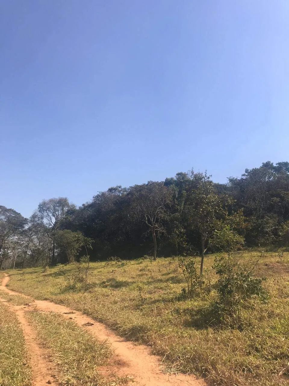 Terreno à venda, Paraíso - Divinópolis/MG - Foto 3