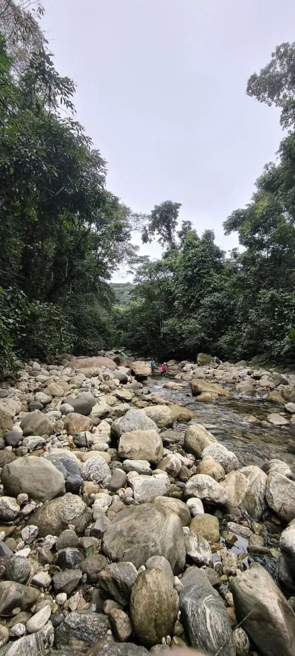 Foto - Itapecerica da Serra - Centro