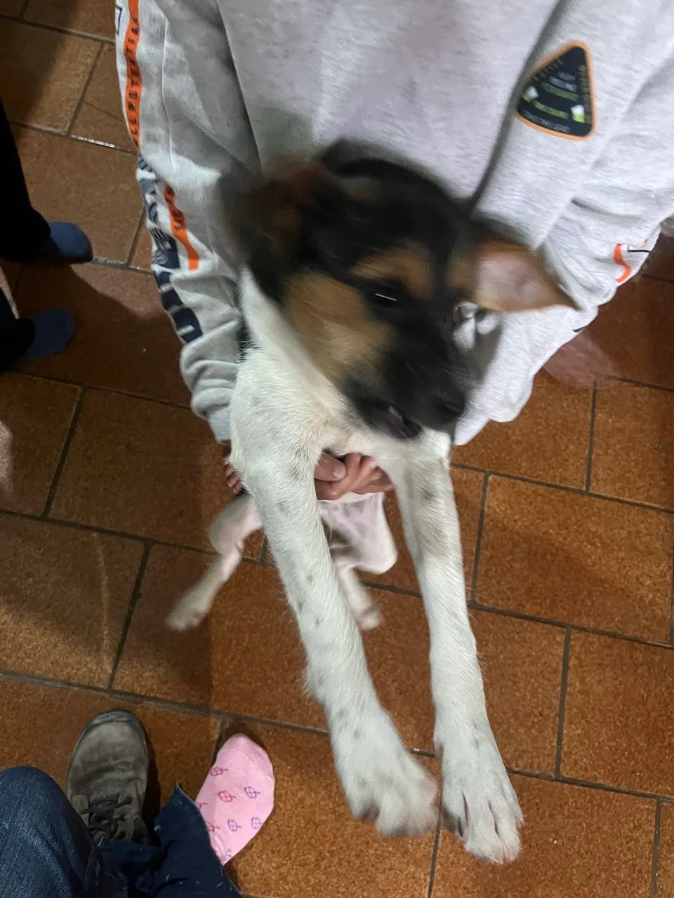 Doação - Foto 2