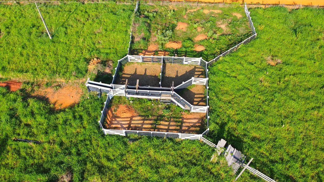 Terra (pasto formado) 