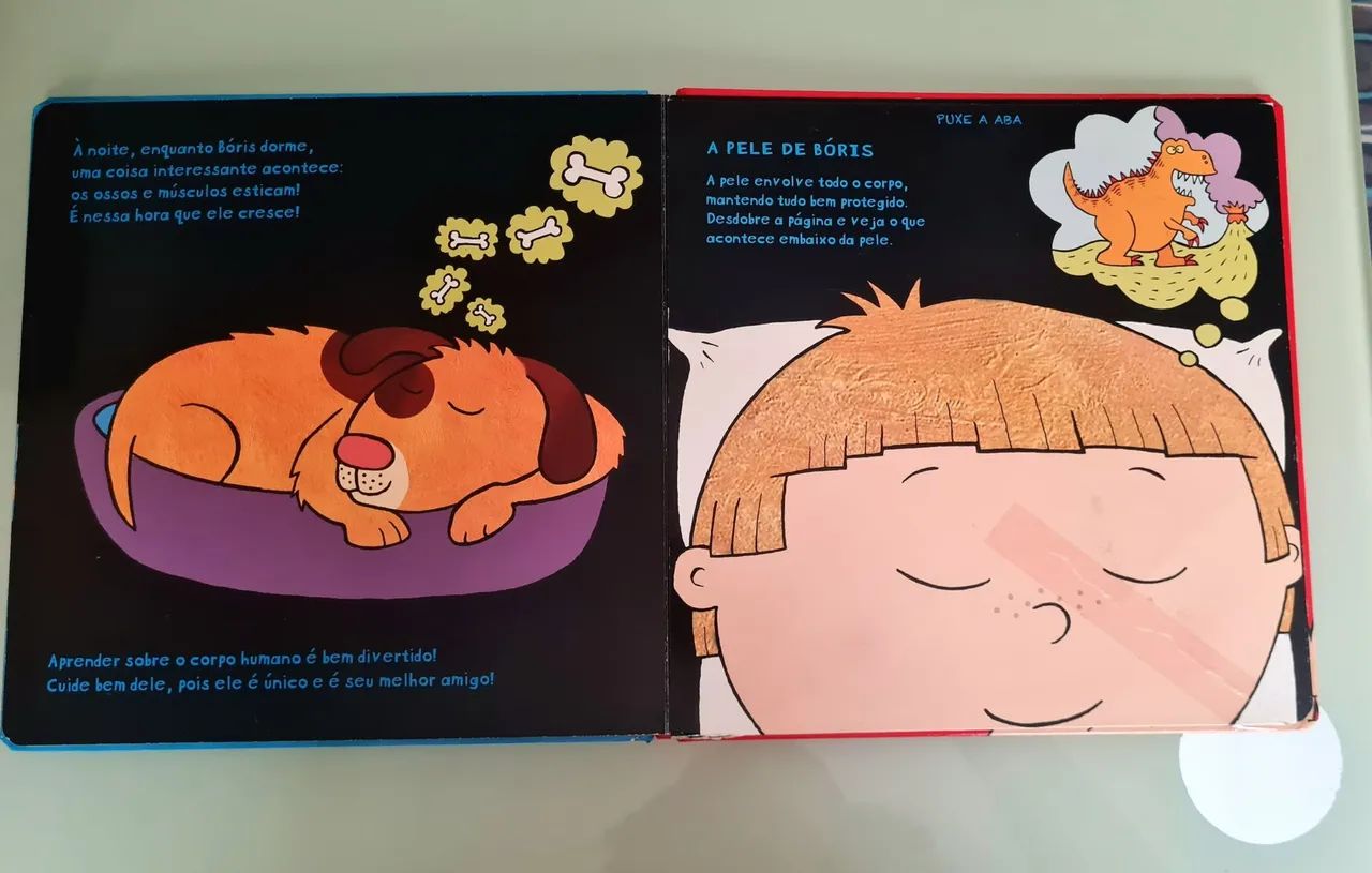 Livro  O corpo de Bóris - Foto 5