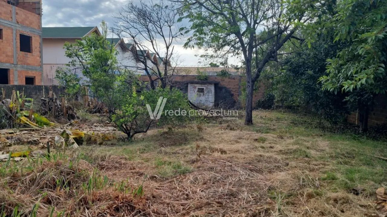terreno - Chácara Primavera - Campinas - Foto 3