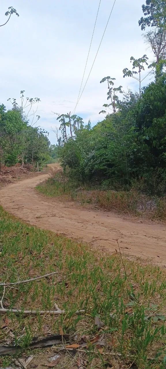 Terreno em novo Airão - Foto 3