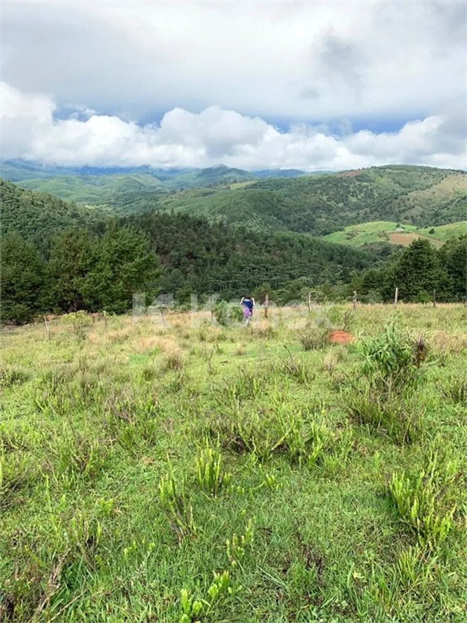 Área à venda com 97000 m² em Centro, Camanducaia