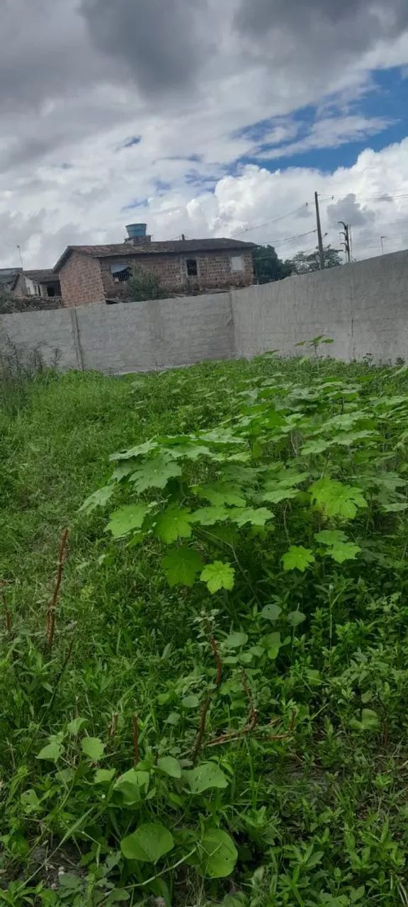 Ótimo terreno próximo a Itamaracá  - Foto 3