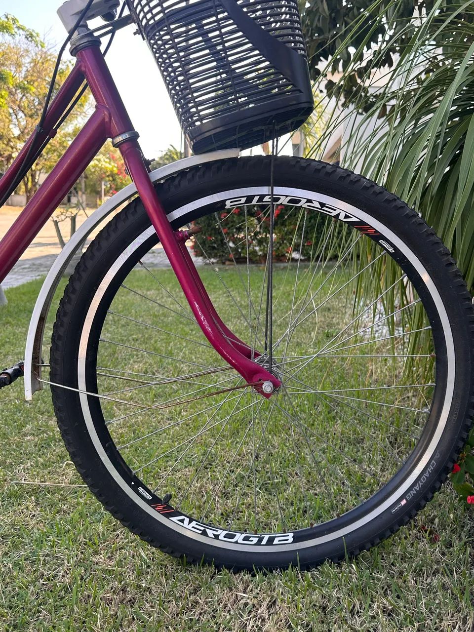 Bicicleta Triciclo  - Foto 4