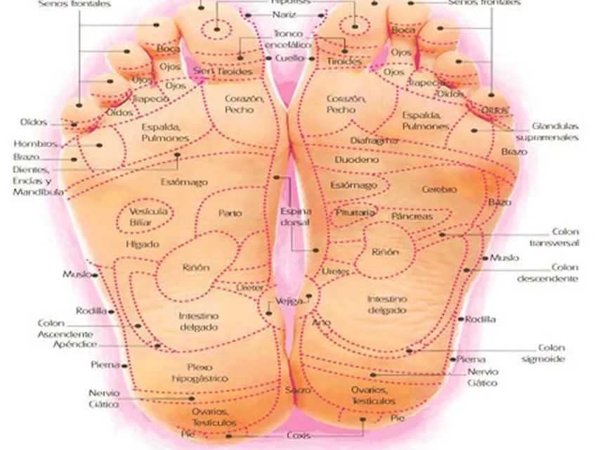 Reflexologia podal Spa dos pés  - Foto 2