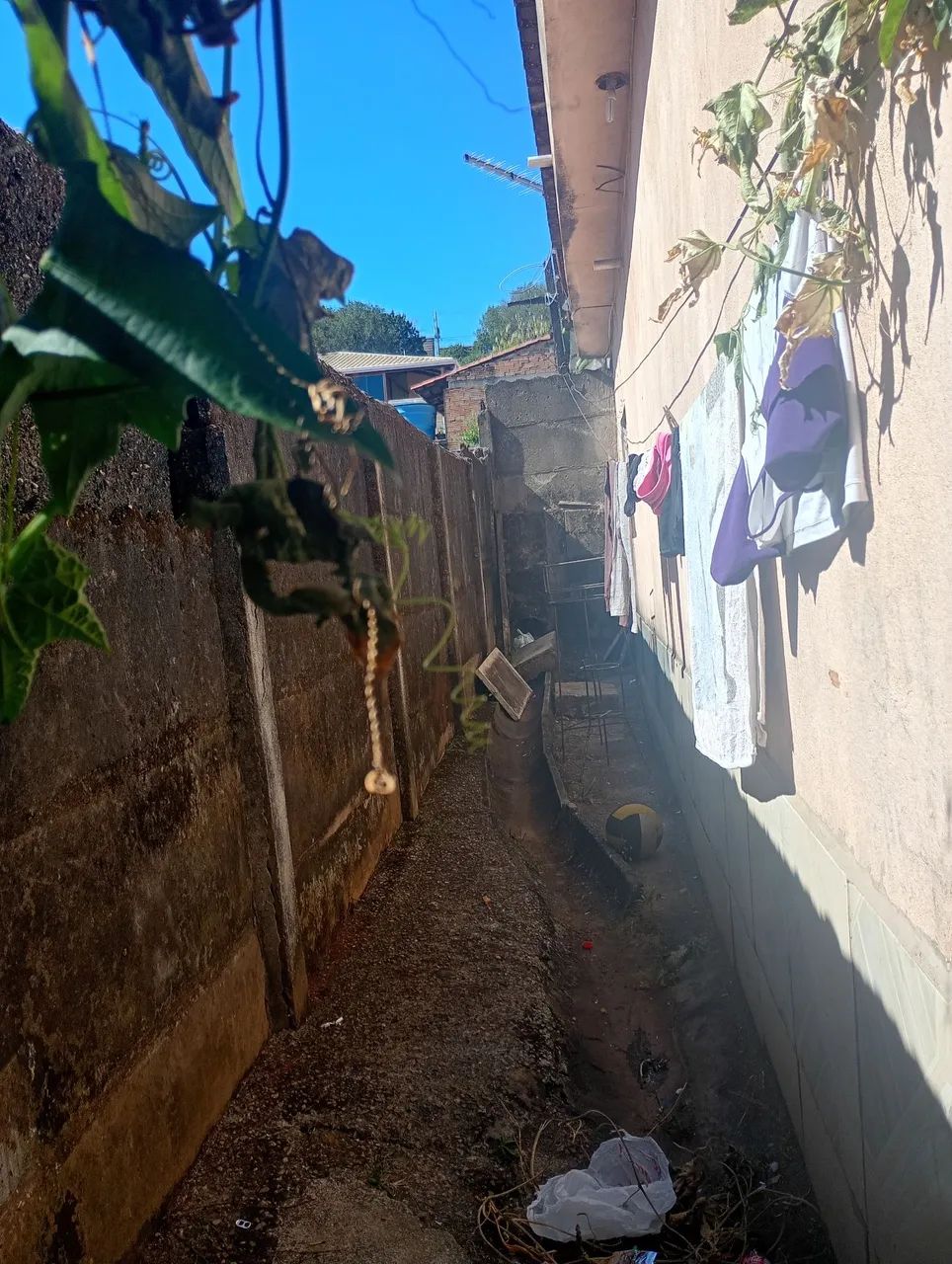 Barracão pra alugar