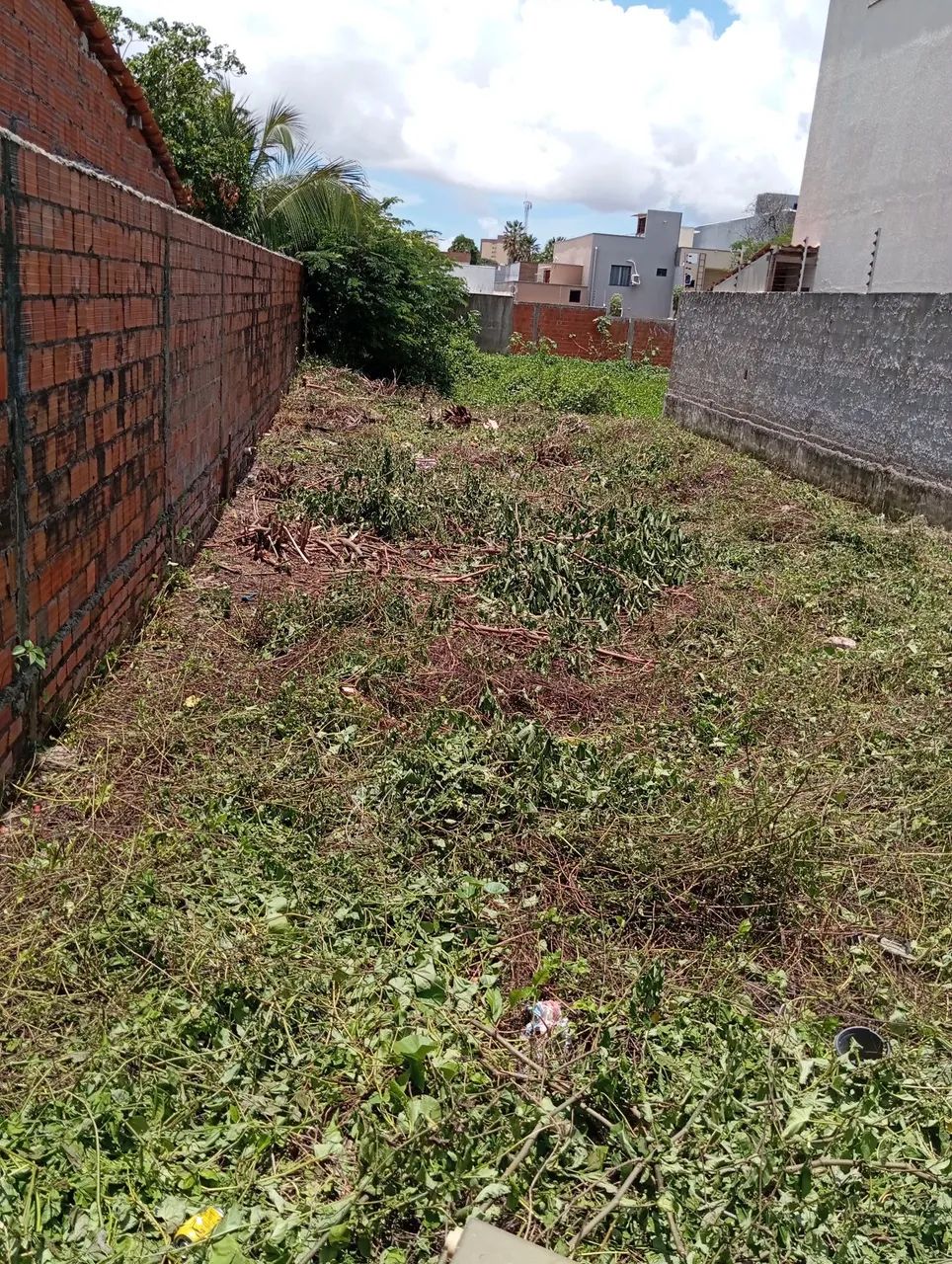 Terreno na Maraponga  - Foto 5