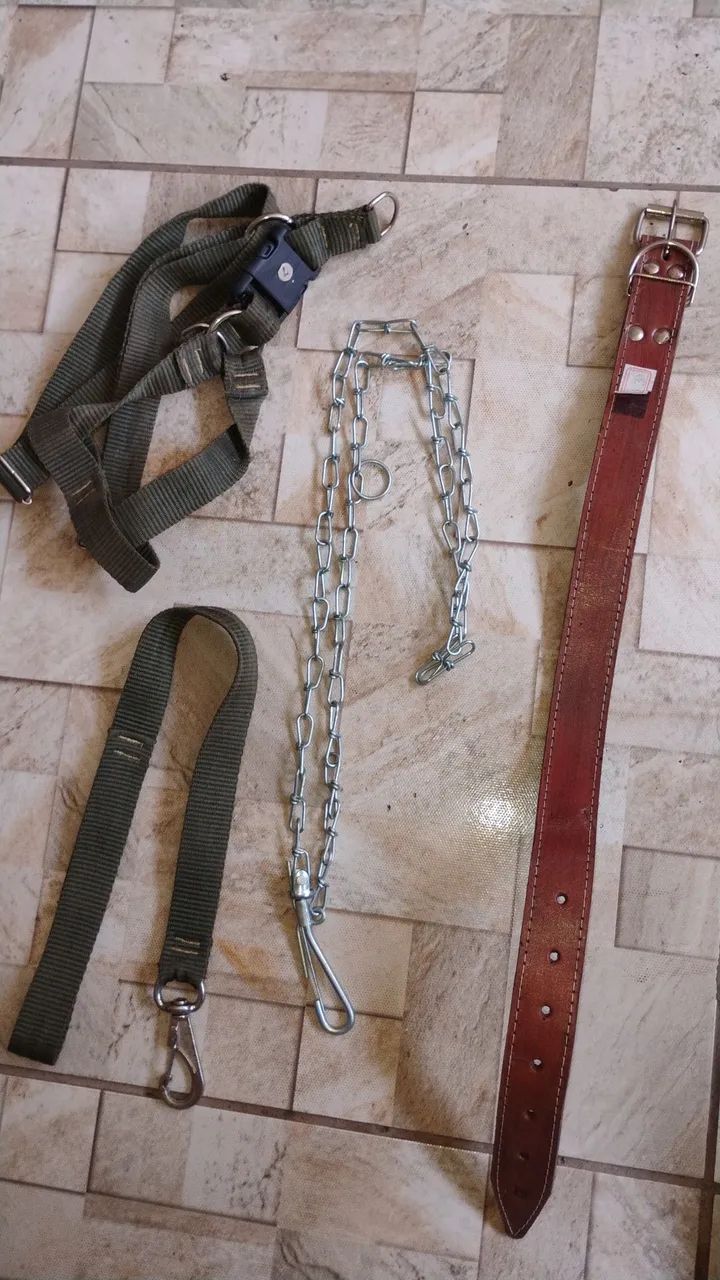 Corrente para passear com Dog - Foto 2