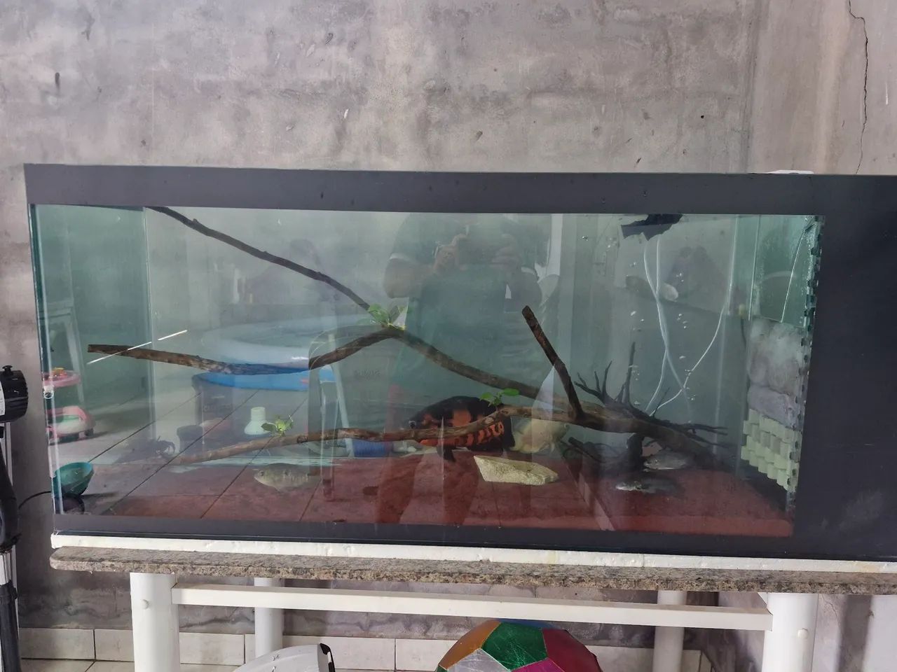 Aquário 420L 1400x500x600 sump lateral - Foto 6