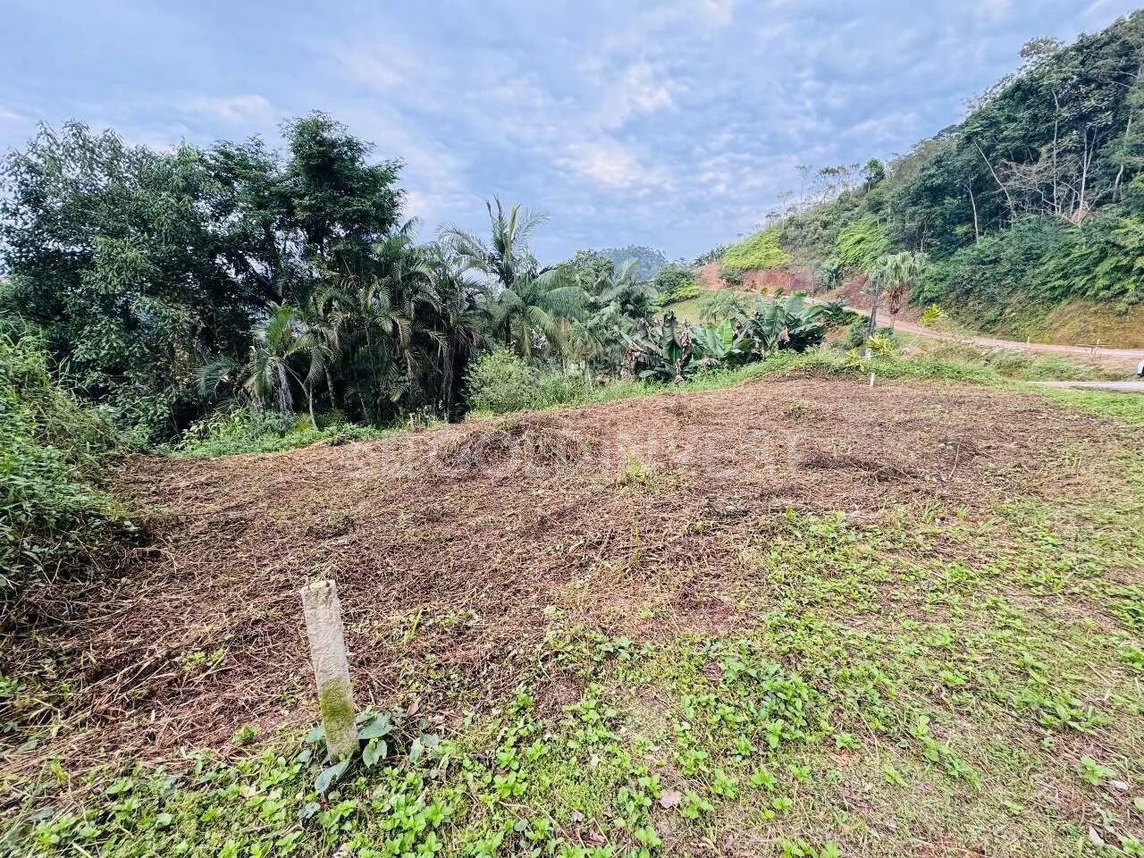 Terreno com 380,32 m² no bairro Steffen - Foto 3