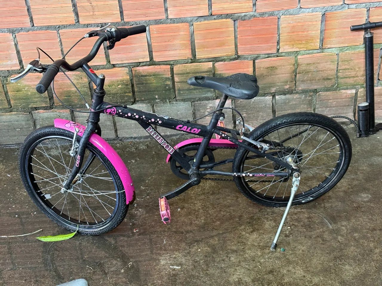 Bicicleta 