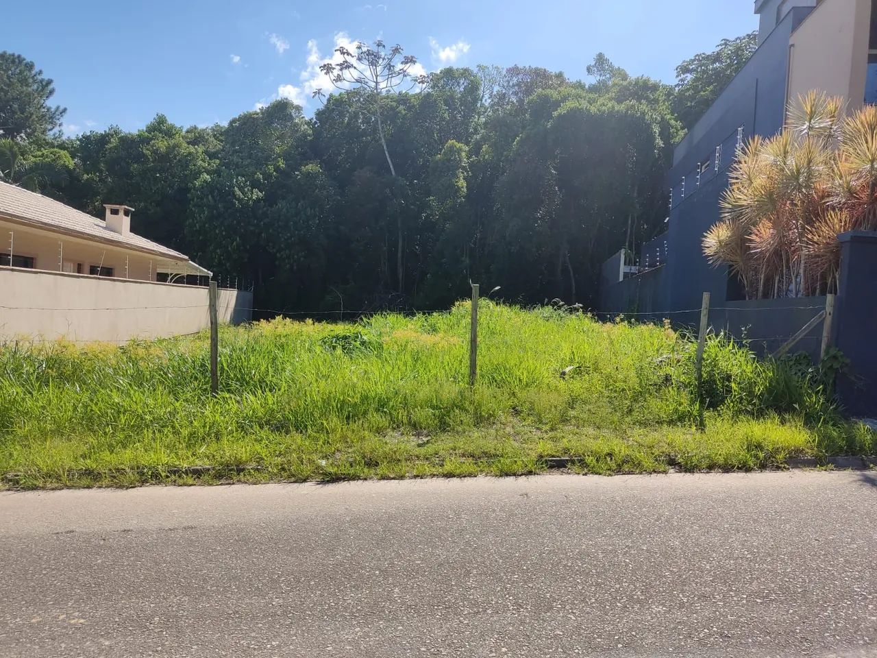 Vendo Terreno na Pedra Branca  - Foto 3