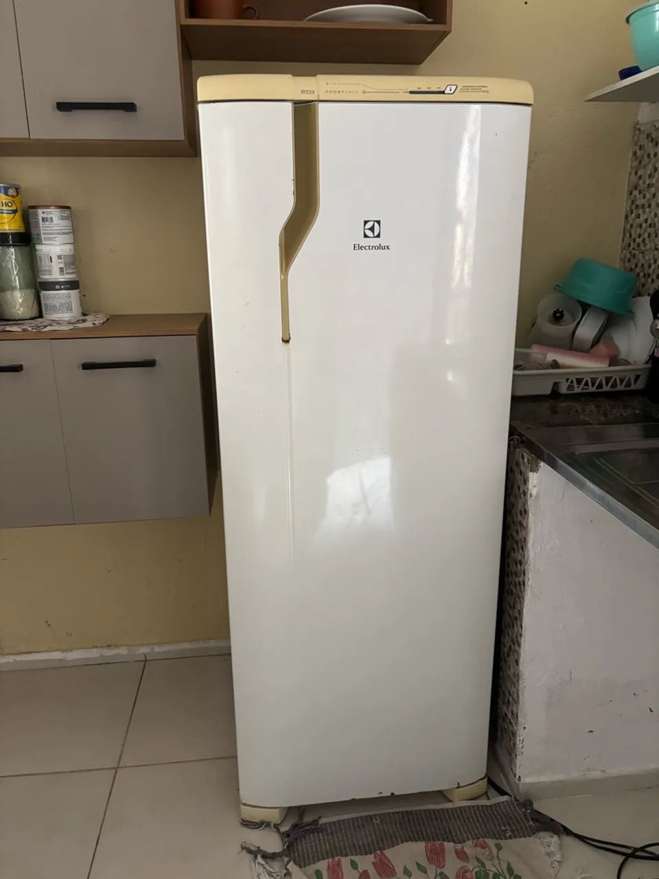 Geladeira eletrolux duplex 