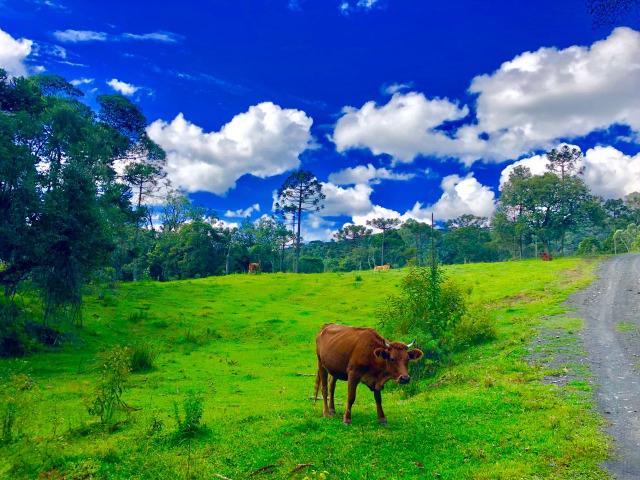 Chácara com cachoeira em Urubici