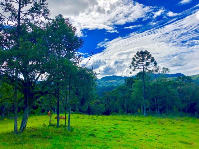 Chácara com cachoeira em Urubici - Foto 10