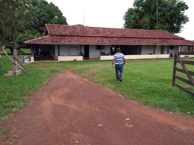 Fazenda 9.900 ha São Felix Do Araguaia - Foto 16